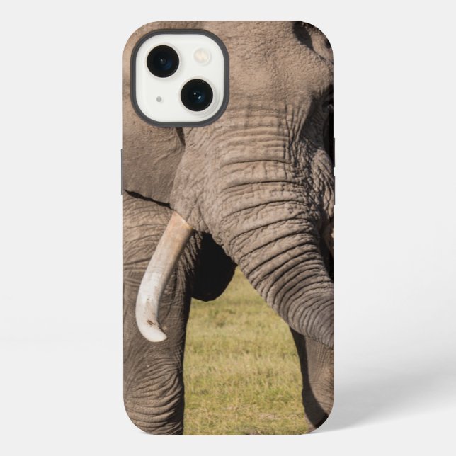 Elephant in an Aggressive Pose Iphone Case (Back)