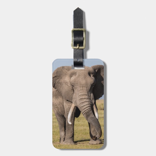 Elephant in an Aggressive Pose Luggage Tag (Front Vertical)