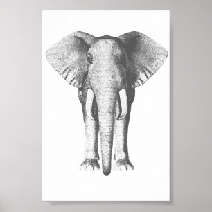 Elephant in Black and White Poster