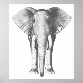 Elephant in Black and White Poster