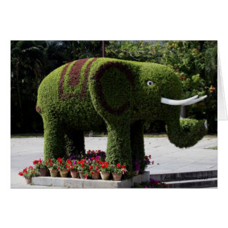 Elephant in chinese garden cards