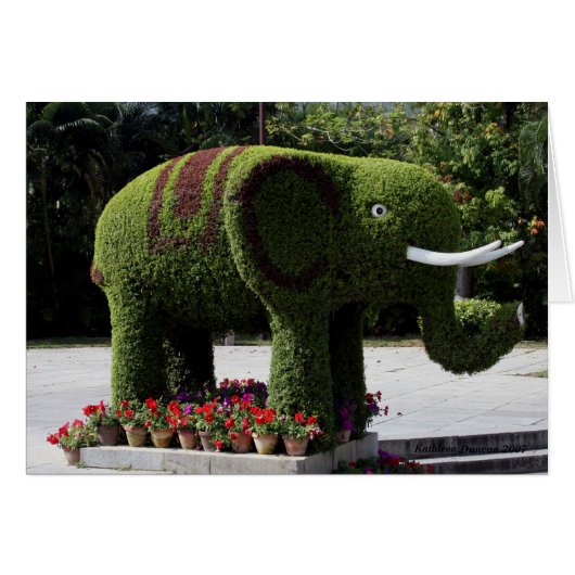 Elephant in chinese garden cards (Front Horizontal)