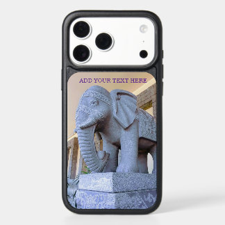 Elephant in Downtown Cebu iPhone 17 Pro Max Case