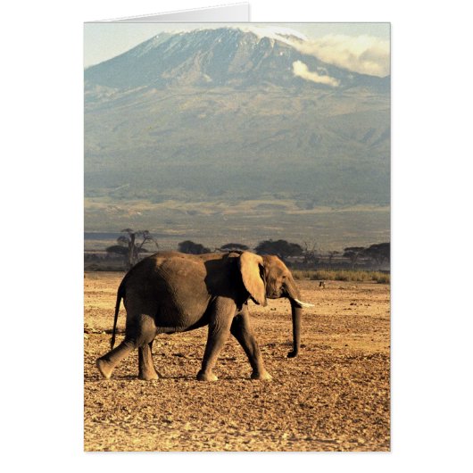 Elephant in front of Kilimanjaro (Front)