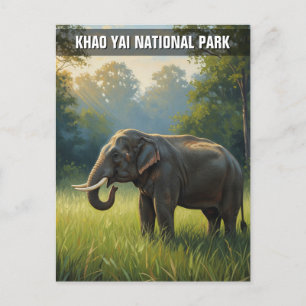 Elephant in Khao Yai National Park Thailand Postcard