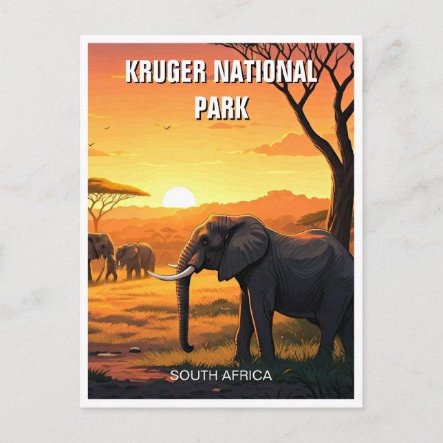 Elephant in Kruger National Park South Africa Postcard (Front)