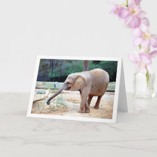 Elephant in Park Portrait Card