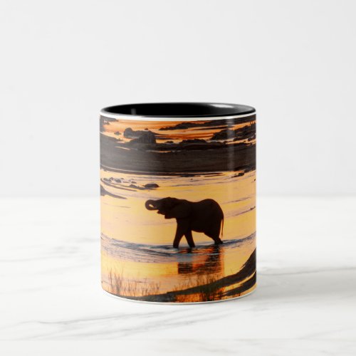 Elephant in River at Sunset Two_Tone Coffee Mug