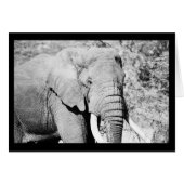 Elephant in the Serengeti (Front Horizontal)