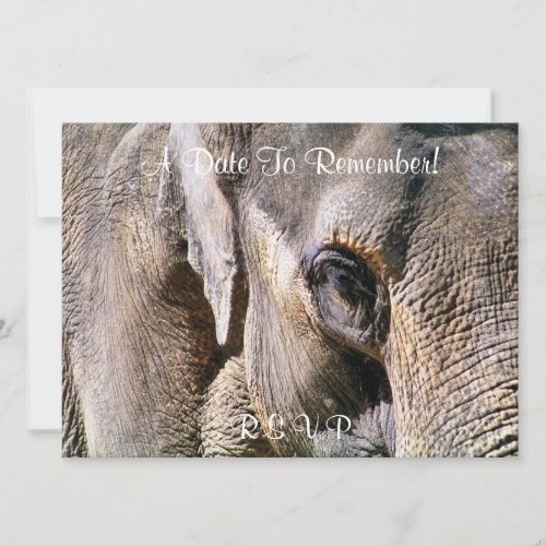 ELEPHANT INVITATION