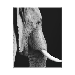 Elephant jungle animal photo black and white canvas print