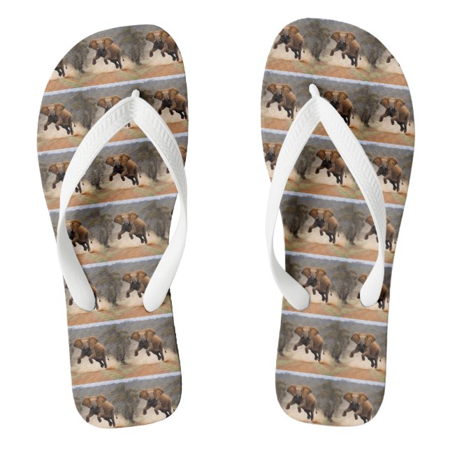 Elephant Kangaroo Hop,  Flip Flops (Footbed)