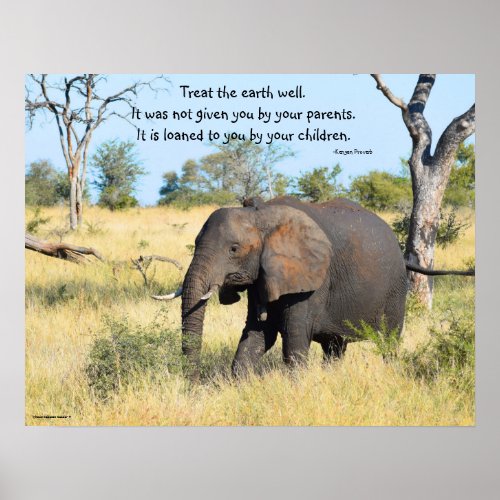Elephant Kenya Proverb Poster