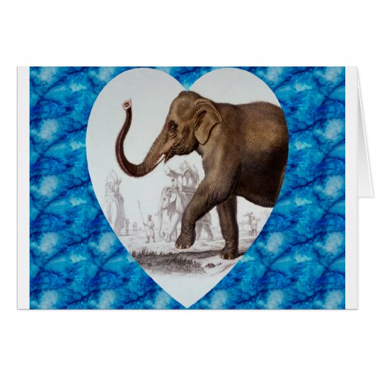 Elephant Love (Front Horizontal)