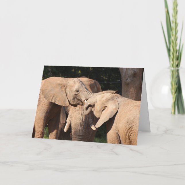 Elephant Love Greeting Card (Front)