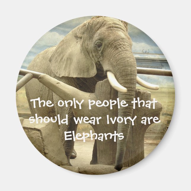 Elephant Love Magnet (Front)