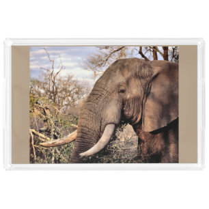 Elephant Lovers Art Acrylic Tray