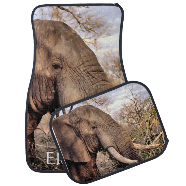 Elephant Lovers Art Car Mat (Set)