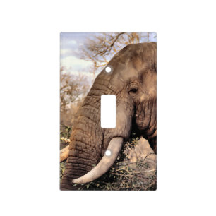 Elephant Lovers Art Light Switch Cover