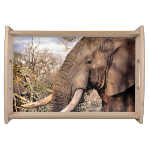 Elephant Lovers Art Serving Tray