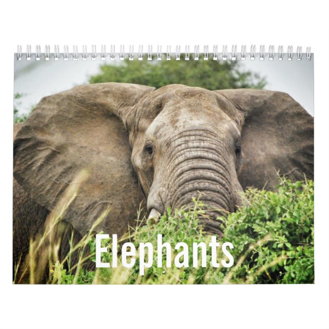 Elephant Lovers, Elephant Color Photographs Calendar (Cover)