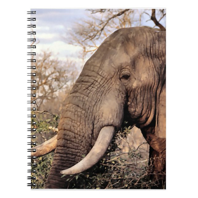 Elephant Lovers Wildlife Notebook (Front)
