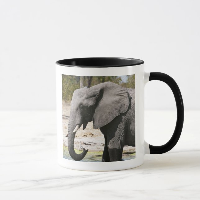Elephant (Loxodonta africana), Savute Channel Mug (Right)