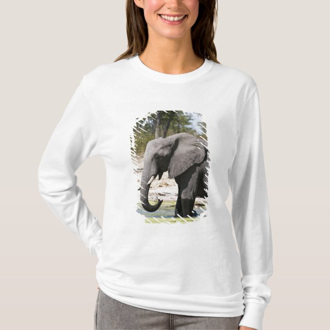 Elephant (Loxodonta africana), Savute Channel T-Shirt (Front)