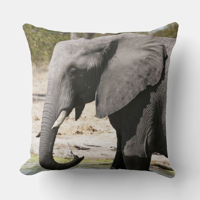 Elephant (Loxodonta africana), Savute Channel Throw Pillow (Front)