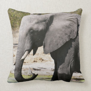 Elephant (Loxodonta africana), Savute Channel Throw Pillow