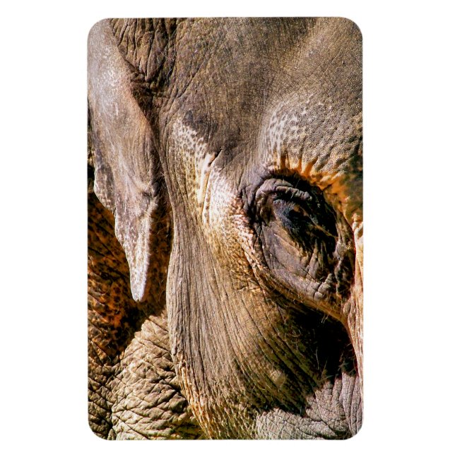 ELEPHANT MAGNET (Vertical)