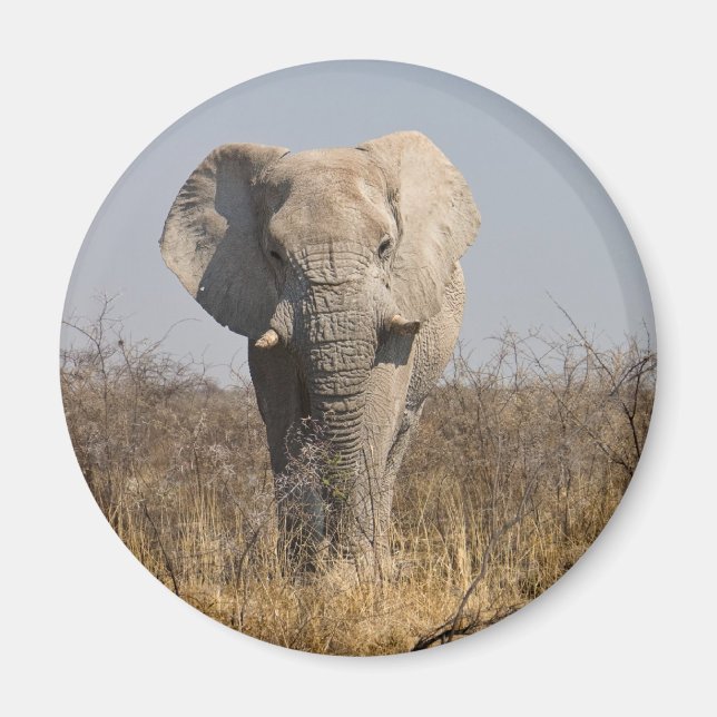 Elephant Magnet (Front)