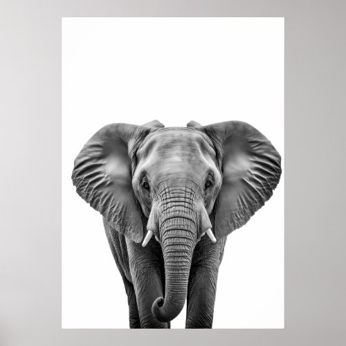 Elephant Modern Black White  Poster