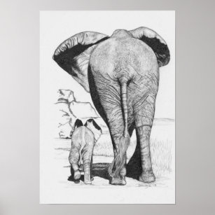 Pencil Drawing Posters Baby & Kids | Zazzle
