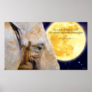 Elephant, Moon & Wisdom Quote Motivational Poster