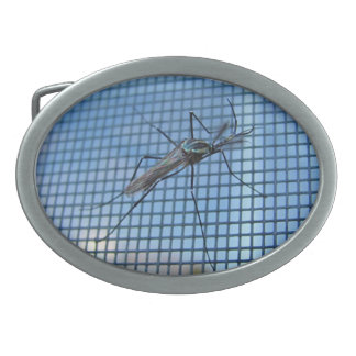 Elephant Mosquito ~ Buckle Oval Belt Buckle