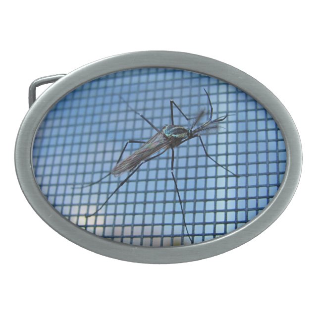 Elephant Mosquito ~ Buckle Oval Belt Buckle (Front)