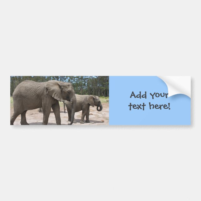 Elephant Mother and Baby Photo Bumper Sticker (Front)