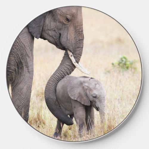 Elephant mother and baby wildlife wireless charger 