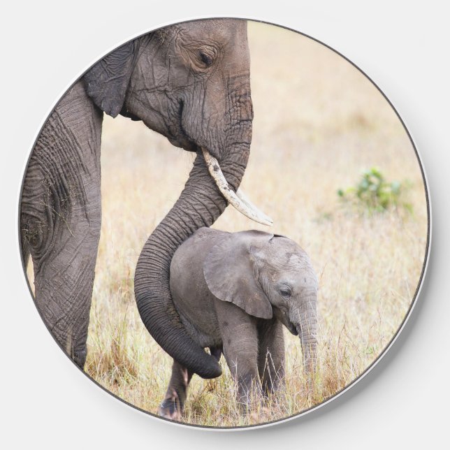Elephant mother and baby wildlife wireless charger  (Front)