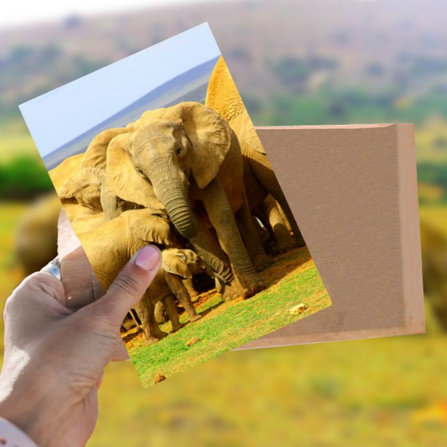 Elephant mother and calf Postcard (Creator Uploaded)