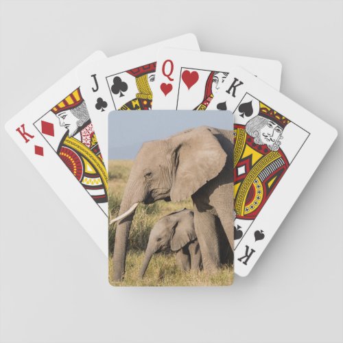 Elephant Mother and Her Baby Playing Cards