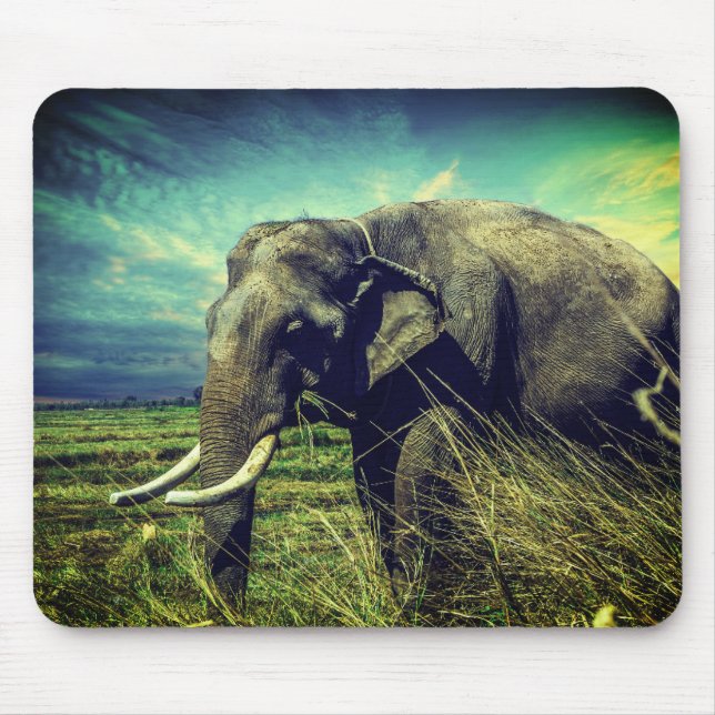 Elephant Mouse Pad (Front)