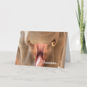 Elephant Mouth Happy Birthday Card