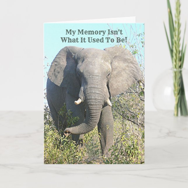 ELEPHANT/MY MEMORY ISN'T WHAT IT USED TO BE CARD (Front)