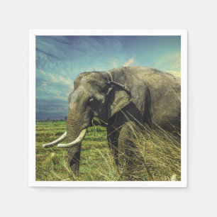 Elephant Napkins