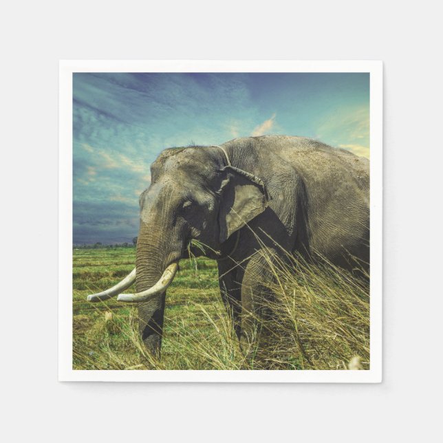 Elephant Napkins (Front)