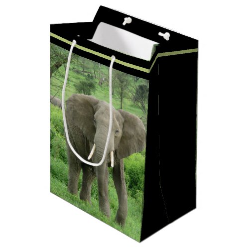 Elephant Near Ndutu Medium Gift Bag