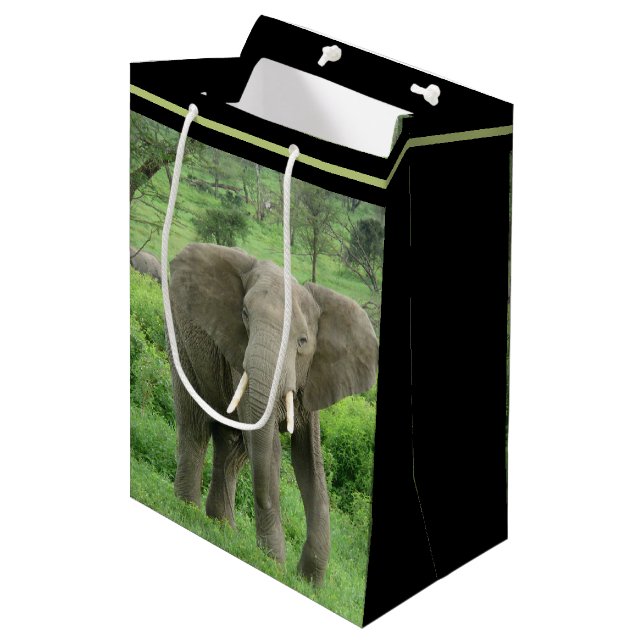 Elephant Near Ndutu Medium Gift Bag (Front Angled)