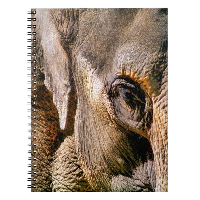 ELEPHANT NOTEBOOK (Front)